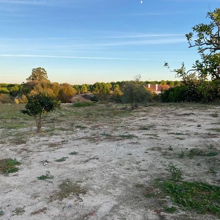 Monte Das Figueiras de LavreCozy Farm House In The Countryside别墅 外观 照片